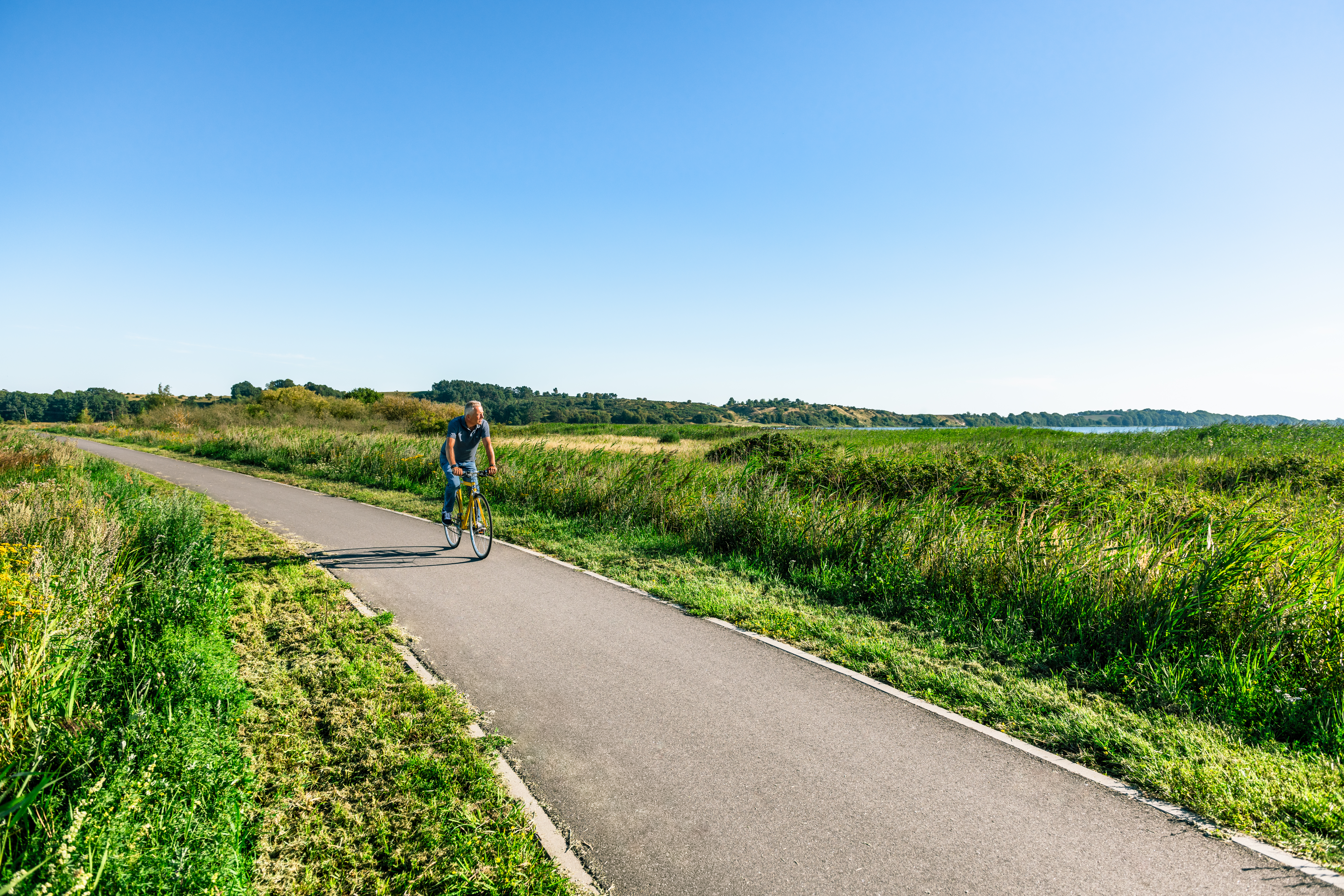 Ein älterer Mann fährt mit einem gelben Fahrrad über einen Fahrradweg umgeben von Natur.
